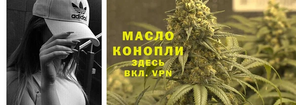 мет Протвино