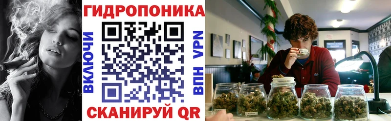 Бошки Шишки OG Kush закладки Кумертау